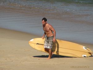 surfdaddy02