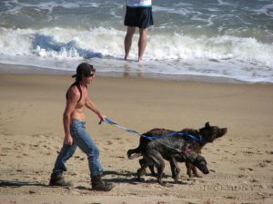 beachdogs01