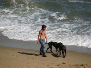 beachdogs02