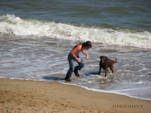 beachdogs03